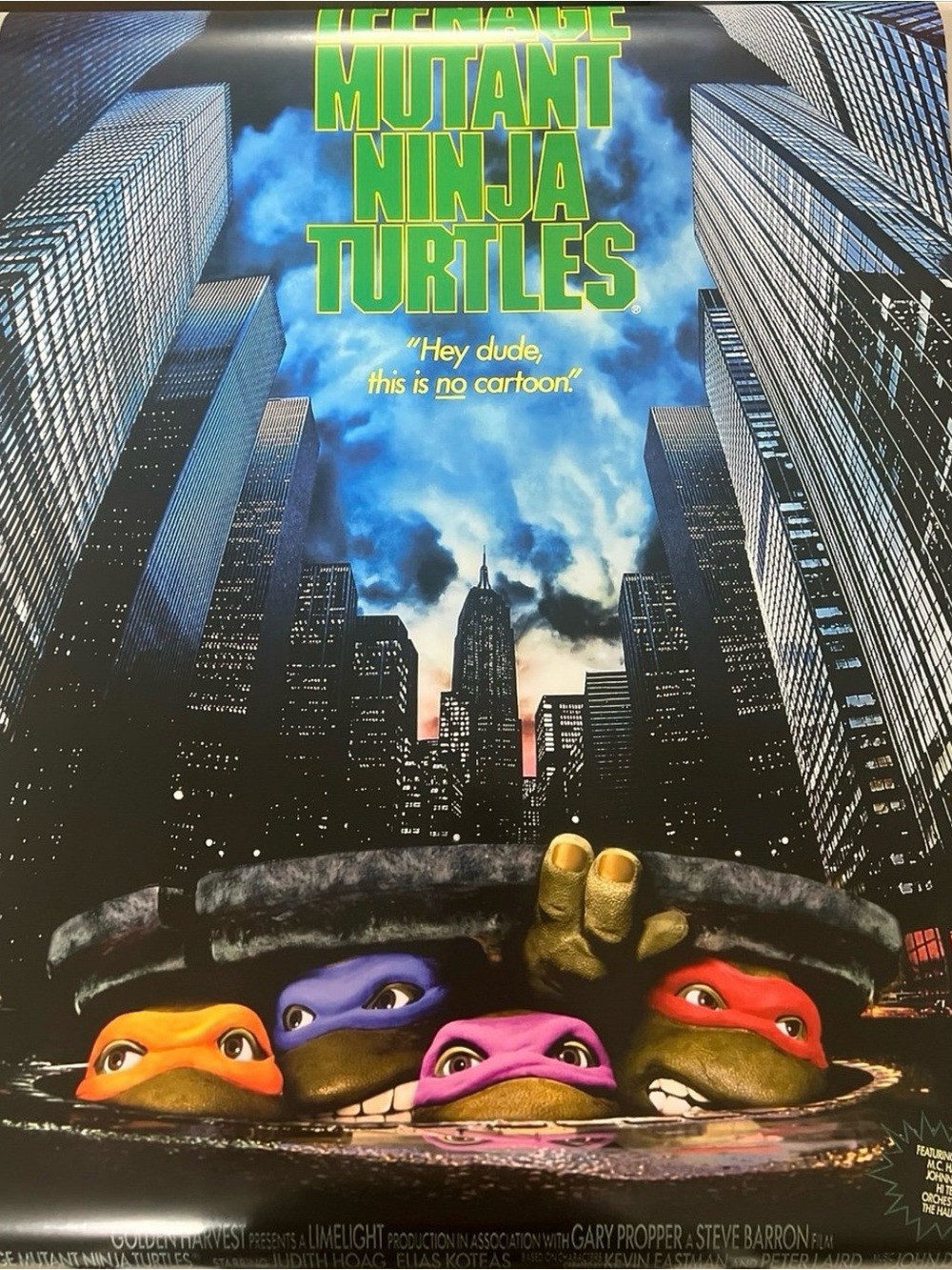 Teenage Mutant Ninja Turtles Poster